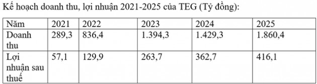 TEG đấu giá 10 triệu cổ phần, lượng đăng ký gần gấp rưỡi số lượng chào bán - Ảnh 1.