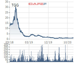 TGG: Một nữ cổ đông dùng 19 tài khoản tạo cung cầu giả thao túng cổ phiếu - Ảnh 1.