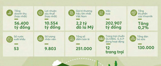 Thách thức nào cho mục tiêu tăng trưởng 10% doanh thu 2020 của Vinamilk? - Ảnh 1.