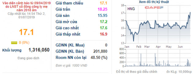 THACO đã tăng sở hữu tại HAGL Agrico lên hơn 13% - Ảnh 1.