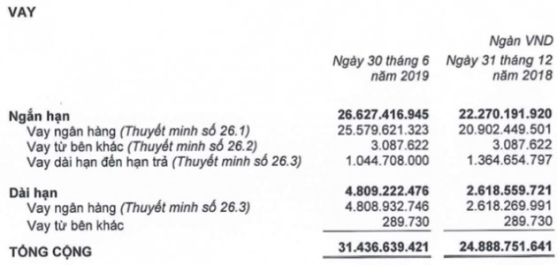 THACO tăng 6.500 tỷ dư nợ vay: Nếu 1 năm mà không thấy hướng ra dễ bị ngân hàng ‘chặt’ luôn cùng HAGL, vì mình cũng nợ - Ảnh 4.