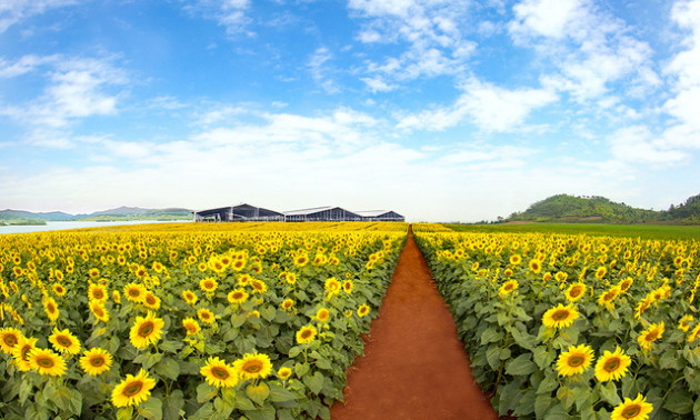  Thái Hương - “Chạch vàng” xứ Nghệ: Từ công chức “quèn” thành nữ doanh nhân đóng thuế hơn 500 tỷ đồng cho Nghệ An, đi đâu về đâu vẫn xây đại bản doanh ở quê hương - Ảnh 3.