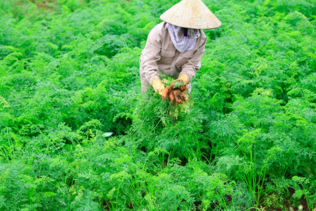  Thái Hương - “Chạch vàng” xứ Nghệ: Từ công chức “quèn” thành nữ doanh nhân đóng thuế hơn 500 tỷ đồng cho Nghệ An, đi đâu về đâu vẫn xây đại bản doanh ở quê hương - Ảnh 5.