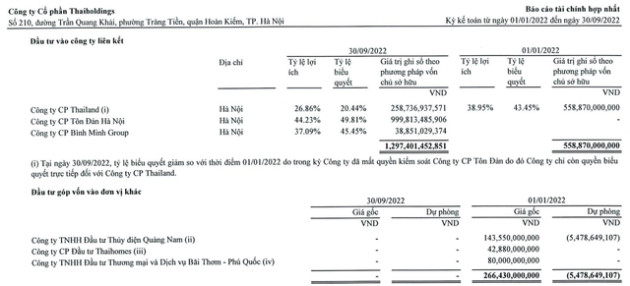 Thaiholdings đạt 323 tỷ đồng lợi nhuận trước thuế trong 9 tháng - Ảnh 2.