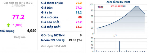 Thaiholdings (THD): Cổ phiếu tăng nóng trước thềm tăng vốn, lợi nhuận quý 2/2020 lại sụt giảm 78% xuống còn 4 tỷ đồng - Ảnh 3.