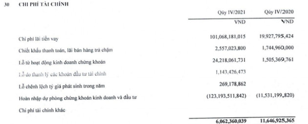 Thaiholdings (THD) ghi nhận gần 1.100 tỷ đồng doanh thu tài chính, báo lãi 1.157 tỷ đồng cả năm - Ảnh 2.