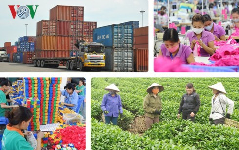 Tham gia CPTPP, doanh nghiệp không thể “đơn thương độc mã”