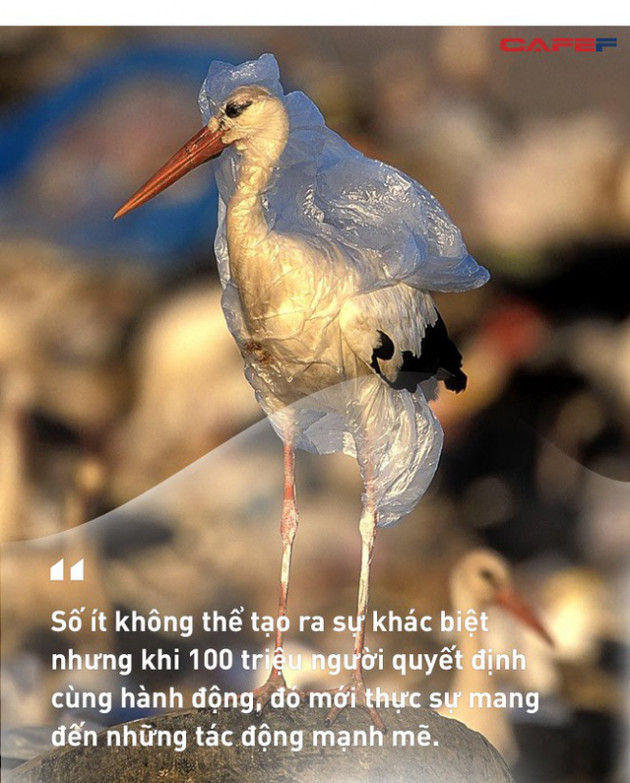 Thảm kịch từ sự tiện dụng: Đã đến lúc nhân loại phải chọn trái đất hay... trái nhựa? - Ảnh 3.