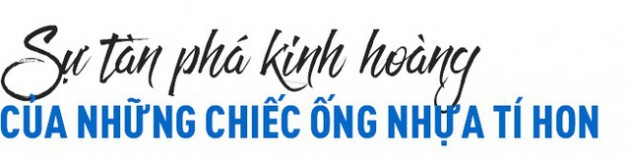 Thảm kịch từ sự tiện dụng: Đã đến lúc nhân loại phải chọn trái đất hay... trái nhựa? - Ảnh 5.