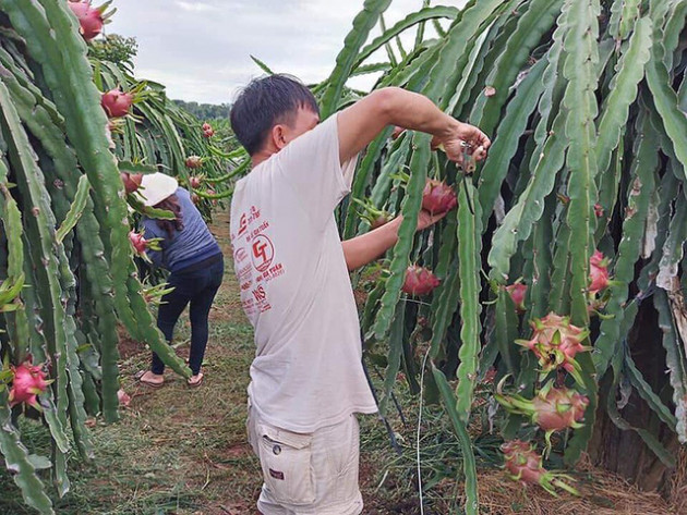 Tham tán thương mại Trung Quốc nói gì về hàng Việt? - Ảnh 2.