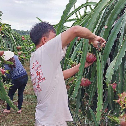 Tham tán thương mại Trung Quốc nói gì về hàng Việt?