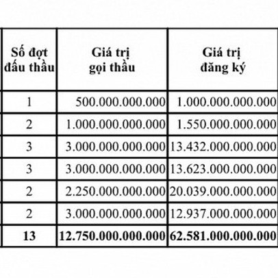 Tháng 6, khối lượng đặt thầu trái phiếu chính phủ gấp 4,9 lần gọi thầu