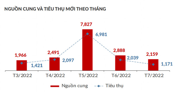 Thanh khoản căn hộ TP HCM và vùng phụ cận giảm do điểm nghẽn tín dụng