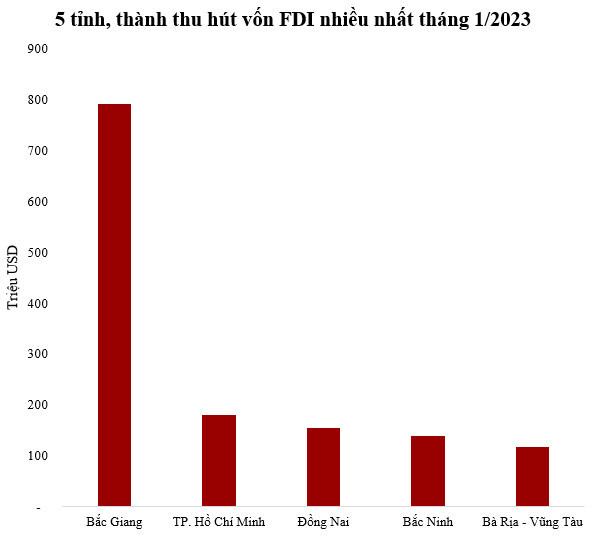 Thành phố trực thuộc TW duy nhất lọt top 5 tỉnh, thành hút vốn FDI nhiều nhất tháng đầu năm - Ảnh 1.