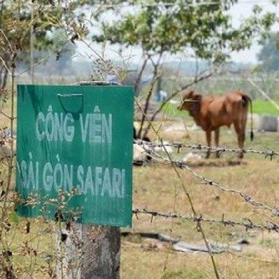 Thanh tra Chính phủ: TPHCM gây thất thoát hơn 104 tỷ tại dự án Safari