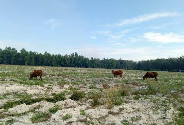 Thanh tra vào cuộc vụ Công ty Địa ốc City Land bán đất nền trái luật - Ảnh 3.