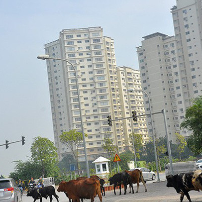 Thanh tra về đất đai loạt dự án bất động sản 'khủng' ở Hà Nội