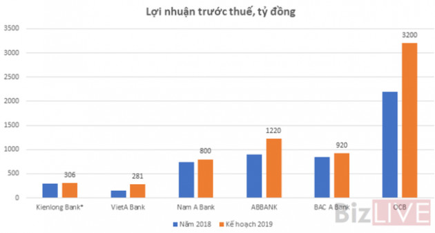 Thấy gì qua bức tranh kế hoạch lợi nhuận 2019 của các ngân hàng (P.2) - Ảnh 2.