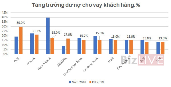 Thấy gì qua bức tranh kế hoạch lợi nhuận ngân hàng 2019? - Ảnh 1.