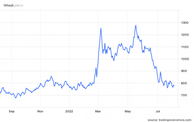 Thế giới đói lúa mì, cảng biển tắc nghẽn nhưng đây lại cơ hội làm giàu đến với những công ty này - Ảnh 1.