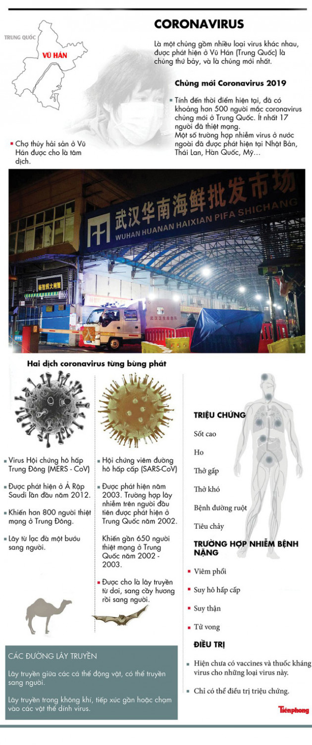 Thế giới nín thở trước sự lây lan đáng sợ của chủng coronavirus mới - Ảnh 1.