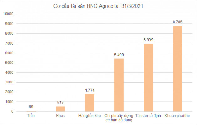 Thế khó của HAGL Agrico khi Thagrico dừng rót vốn thêm - Ảnh 1.