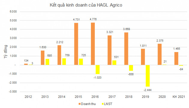 Thế khó của HAGL Agrico khi Thagrico dừng rót vốn thêm - Ảnh 3.