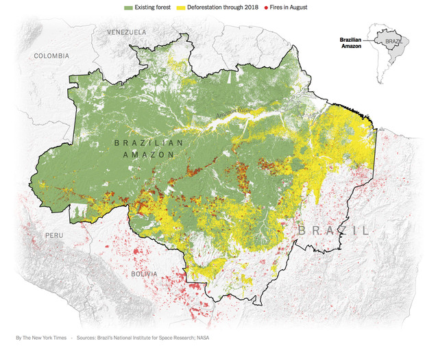 The New York Times: Phân tích ảnh vệ tinh đã chỉ ra chính xác thủ phạm gây cháy rừng thảm họa tại Amazon