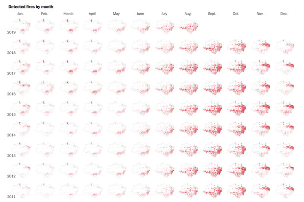 The New York Times: Phân tích ảnh vệ tinh đã chỉ ra chính xác thủ phạm gây cháy rừng thảm họa tại Amazon - Ảnh 2.