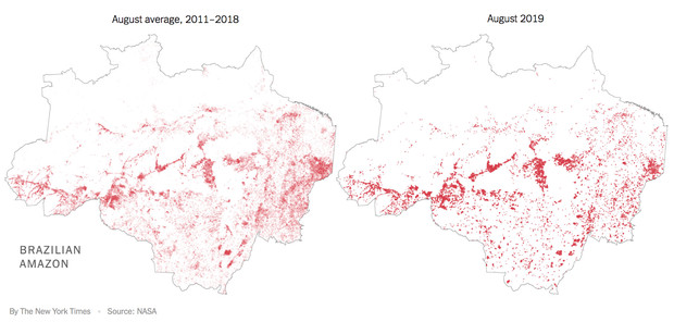 The New York Times: Phân tích ảnh vệ tinh đã chỉ ra chính xác thủ phạm gây cháy rừng thảm họa tại Amazon - Ảnh 3.