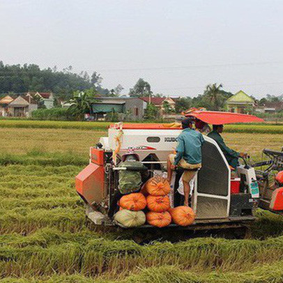 Thêm 8 tỉnh được điều chỉnh quy hoạch sử dụng đất