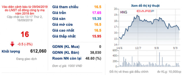 Thêm một cái hạn chưa từng có HAGL Agrico (HNG): 1.500 ha trái cây sắp thu hoạch tại Lào đang bị ngập lụt nặng nề - Ảnh 2.