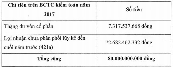 Thêm một doanh nghiệp sắp phát hành cổ phiếu thưởng tỷ lệ 100% - Ảnh 1.