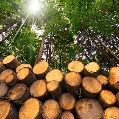 Thêm một nhóm ngành "sáng cửa" nhờ nhu cầu phục hồi hậu đại dịch, giá cổ phiếu đã chiết khấu mạnh 25% kể từ đỉnh