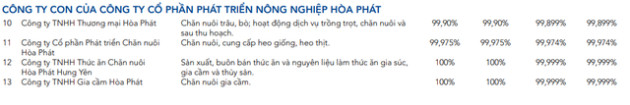  Thép ế, doanh số trứng gà vượt đỉnh có giúp Hòa Phát vượt qua cửa khó? - Ảnh 1.