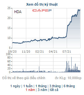Thị giá 24.000 đồng, Hãng sơn Đông Á chào bán 11,5 triệu cổ HDA phiếu giá 10.000 đồng, tăng vốn lên gấp đôi - Ảnh 1.
