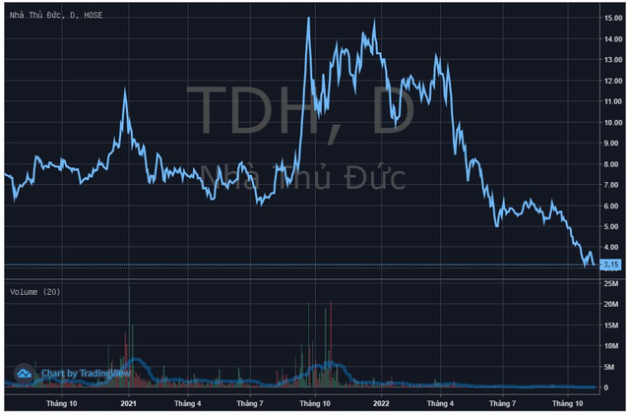 Thị giá mất gần 80% từ đỉnh, Nhà Thủ Đức (TDH) dừng kế hoạch phát hành 58 triệu cổ phiếu riêng lẻ - Ảnh 2.