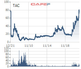 Thị giá quay về đỉnh lịch sử, Tường An (TAC) sắp huỷ niêm yết và cam kết mua lại cổ phiếu theo giá thoả thuận - Ảnh 1.