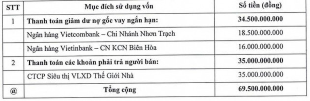 Thị giá tăng hơn 4 lần từ đầu năm, DIC Đồng Tiến (DID) thông qua phương án chào bán cổ phiếu tăng vốn điều lệ lên gấp rưỡi - Ảnh 2.