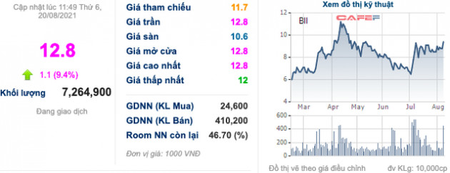 Thị giá tăng trần liên tiếp, BII sắp chào bán 15 triệu cổ phiếu riêng lẻ - Ảnh 2.