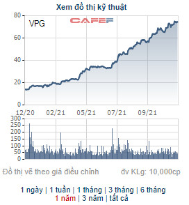 Thị giá trên 75.000 đồng, Việt Phát Group (VPG) chào bán hơn 21 triệu cổ phiếu giá 18.000 đồng - Ảnh 1.