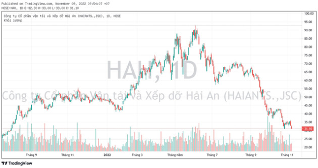 Thị giá về đáy 15 tháng bất chấp KQKD tăng trưởng cao, điều gì đang diễn ra với HAH? - Ảnh 1.