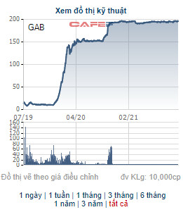 Thị giá xấp xỉ 200.000 đồng/cp, GAB triển khai phát hành 1,1 triệu cổ phiếu trả cổ tức - Ảnh 1.