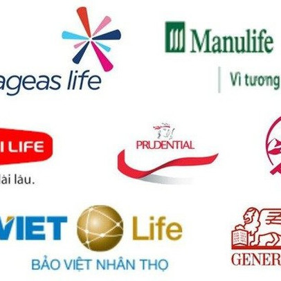 Thị phần bảo hiểm nhân thọ 9 tháng đầu năm: Bảo Việt, Manulife, Prudential, Dai-ichi Life và AIA bỏ xa các doanh nghiệp còn lại