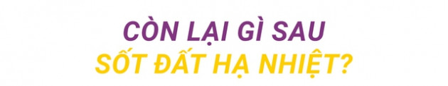 Thị trường bất động sản còn lại những gì sau sốt đất “hạ nhiệt”? - Ảnh 5.