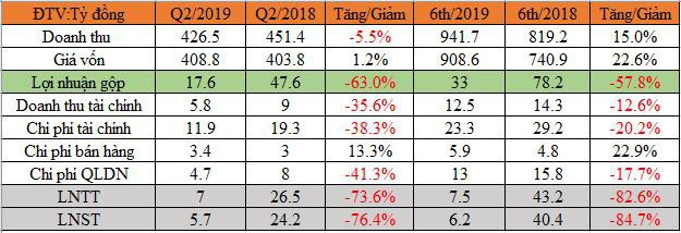 Thị trường đầu ra Trung Quốc khó khăn, Damsan báo lãi quý 2 giảm mạnh 76% - Ảnh 1.