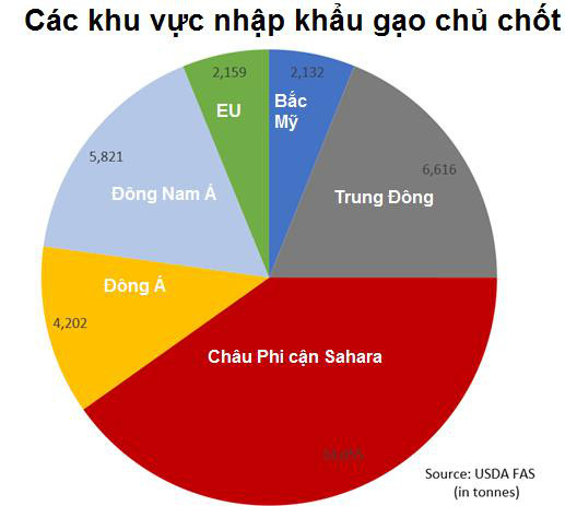 Thị trường gạo từ Châu Á tới Châu Phi căng thẳng do chuỗi cung ứng bị gián đoạn vì Covid-19 - Ảnh 1.