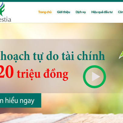 Thị trường "gặp khó", Hestia (HSA) giảm 1/3 giá khởi điểm đợt chào bán đấu giá xuống còn 42.000 đồng/cp