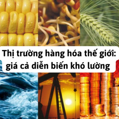 Thị trường hàng hóa thế giới chứng kiến giá tăng cao kỷ lục trong thời gian qua