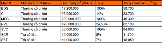 Thị trường hồi phục, nhiều doanh nghiệp khởi động kế hoạch tăng vốn - Ảnh 7.